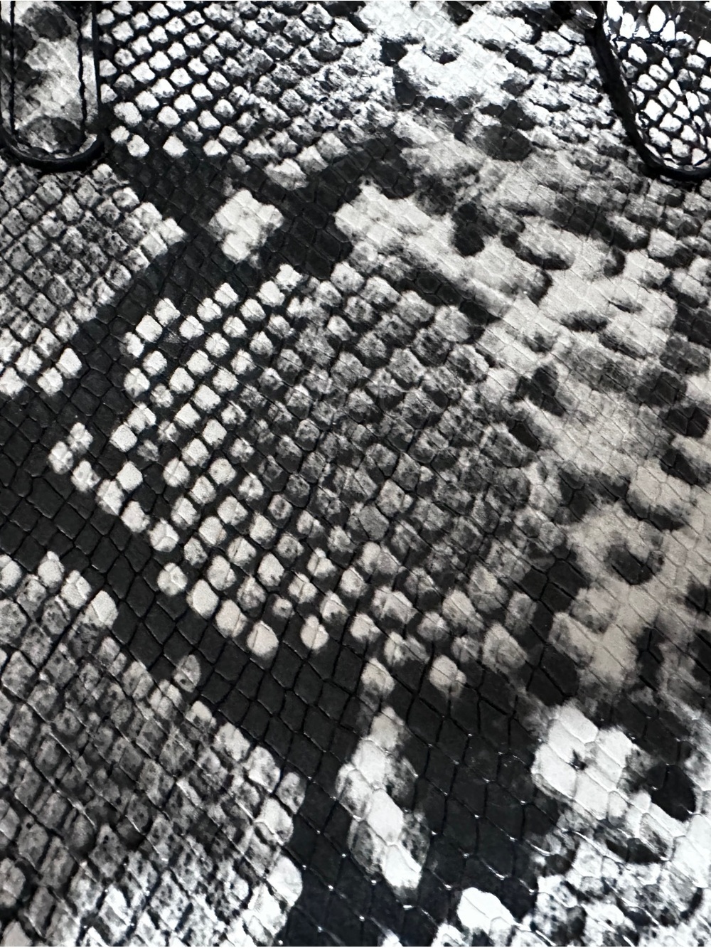 Aldo python print dome - Picture 7 of 9